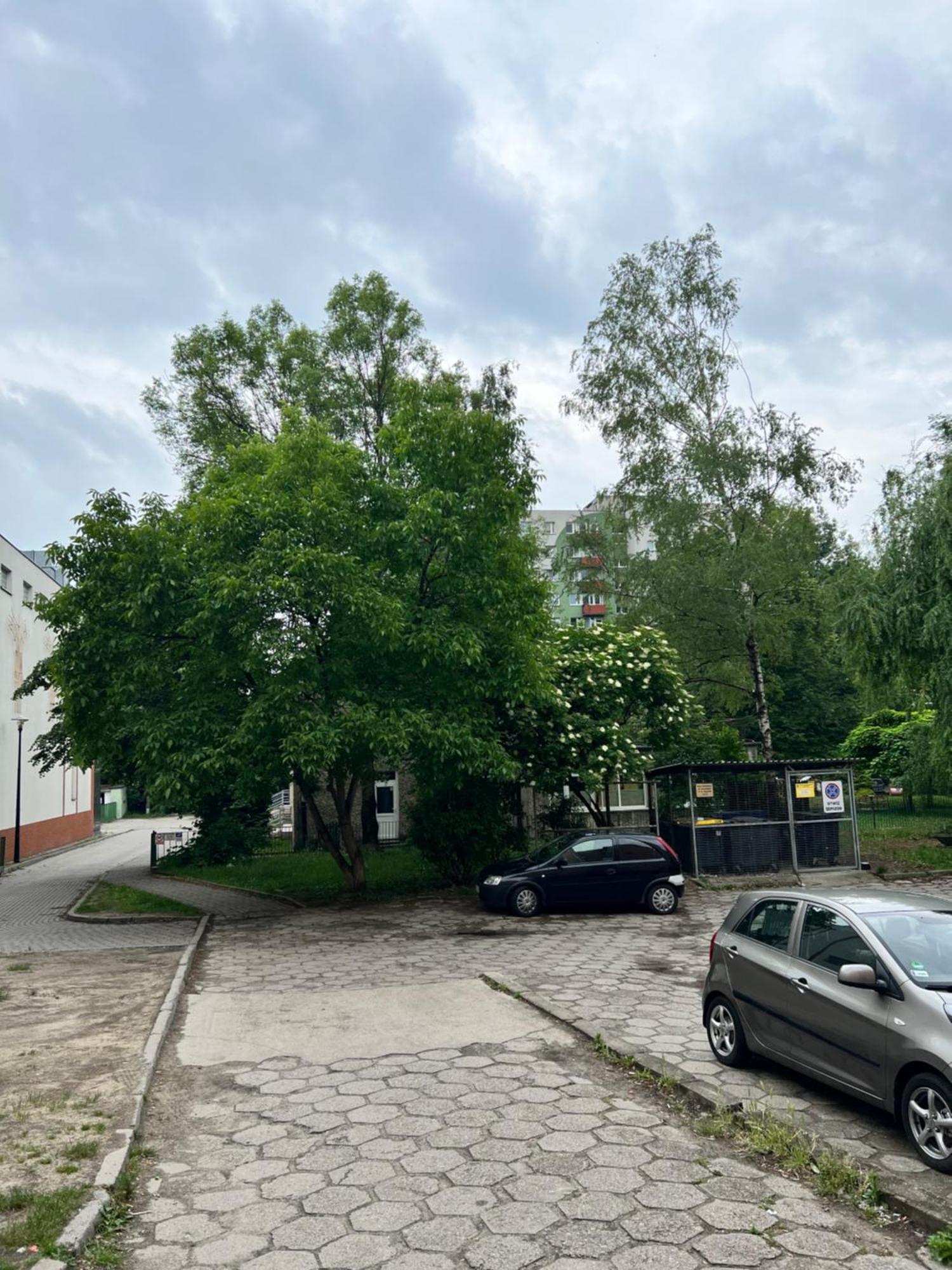 Nocleg Opole Kopernik Apartament Экстерьер фото
